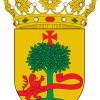 cintruenigo